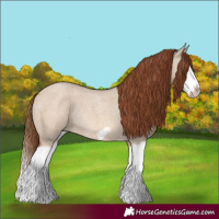 Horse Color:Red Dun Roan Splash Frame Rabicano 