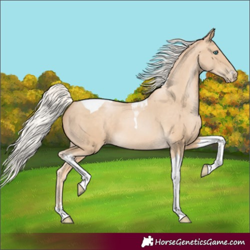Horse Color:Silver Buckskin Pearl Tobiano 
