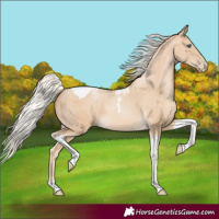 Horse Color:Silver Buckskin Pearl Tobiano 