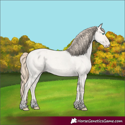 Horse Color:Smoky Creme Roan Dun 