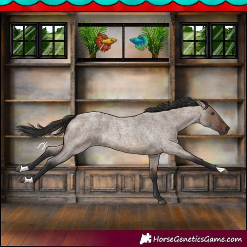 Horse Color:Brown Roan Dun 
