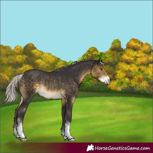 Horse Color:Silver Buckskin Sabino Rabicano 