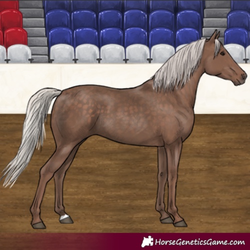 Horse Color:Silver Black 