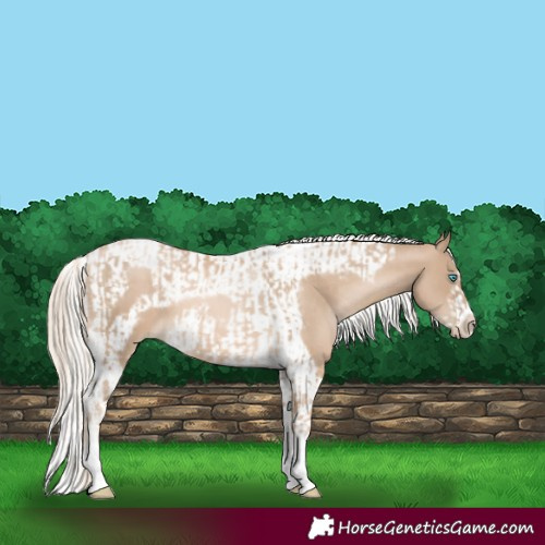 Horse Color:Chocolate Palomino Pearl Tobiano Frame and Chocolate Palomino Pearl Tobiano Frame