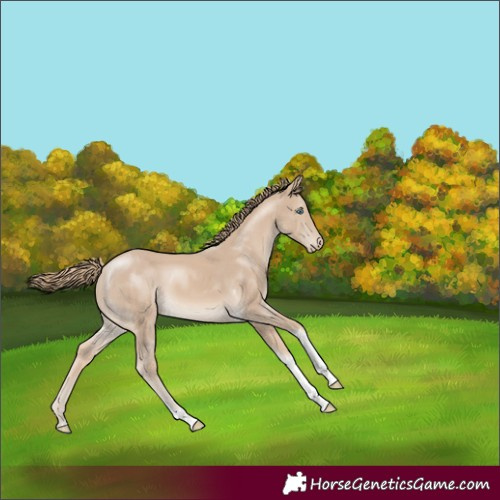 Horse Color:Smoky Creme Tobiano 