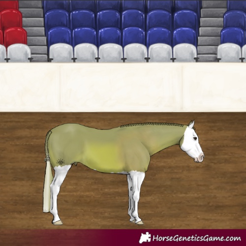 Horse Color:Watercolor Chestnut Splash