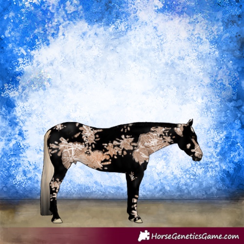 Horse Color:Void Chocolate Palomino Ice Splash Tobiano 