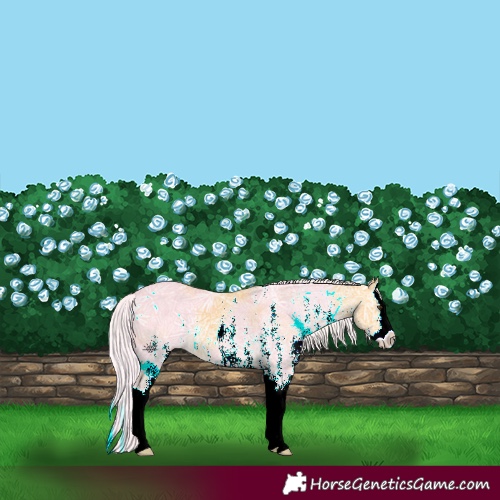 Horse Color:White Spotted Palomino Ice Splash 
