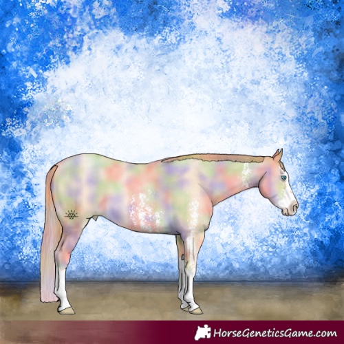 Horse Color:Nacre Buckskin Pearl Sabino Splash 