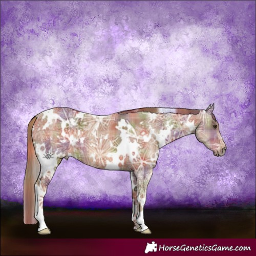 Horse Color:Nacre Plaid  White Spotted Chestnut Ice 
