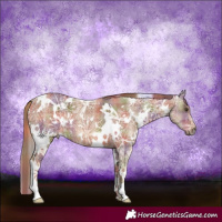 Horse Color:Nacre Plaid White Spotted Chestnut Ice