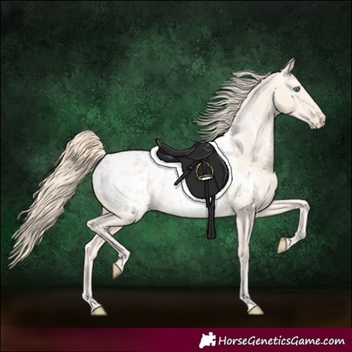 Horse Color:Perlino Blanket