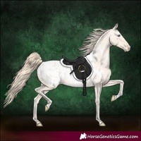 Horse Color:Perlino Blanket
