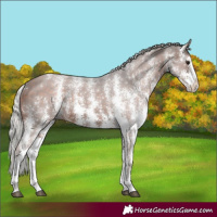 Horse Color:Silver Brown Sabino