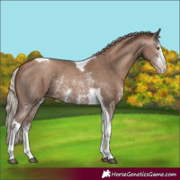 Horse Color:Gray Silver Black Pearl Sabino Tobiano Rabicano 