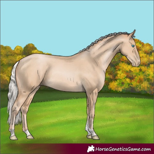 Horse Color:Silver Buckskin Pearl Tobiano Rabicano 