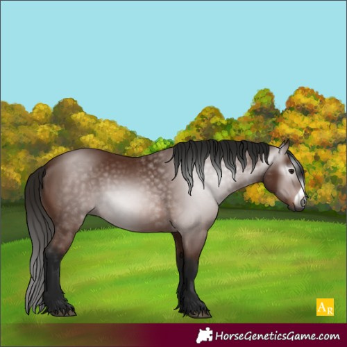 Horse Color:Unknown 