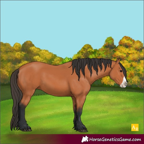 Horse Color:Unknown 