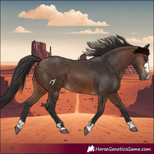 Horse Color:Brown 