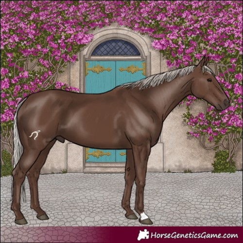 Horse Color:Silver Black 