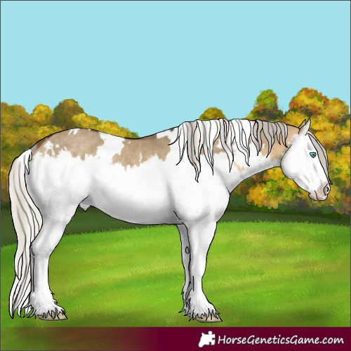Horse Color:White Spotted Silver Buckskin Dun Splash Rabicano
