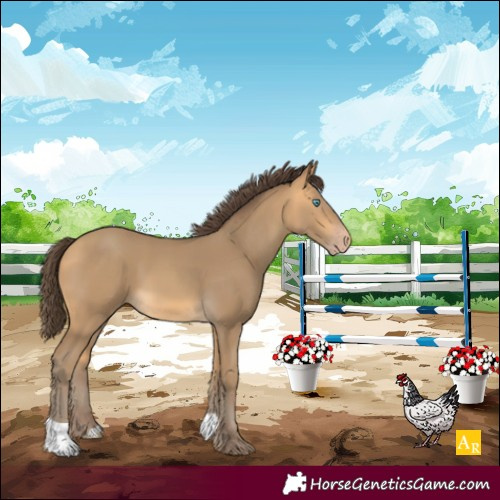 Horse Color:Sable Cream Champagne 