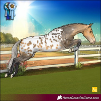 Horse Color:Silver Buckskin Near Leopard 