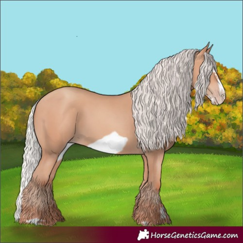 Horse Color:Silver Amber Champagne Frame 