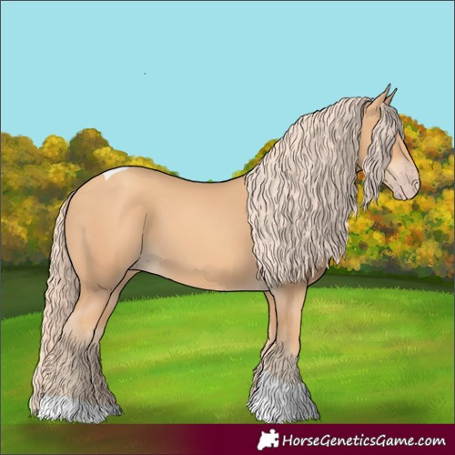 Horse Color:Gold Champagne Tobiano 