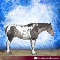 Horse Color:Platinum Silver Smoky Black Tobiano Varnish Rabicano