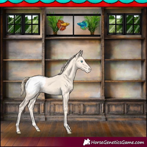Horse Color:Perlino Blanket 