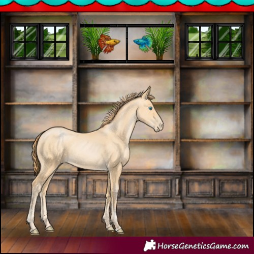 Horse Color:Buckskin Pearl 
