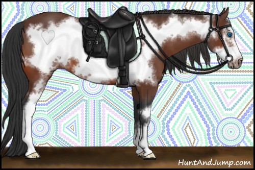 Horse Color:Bay Frame 