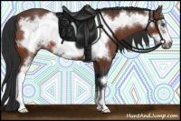 Horse Color:Bay Frame 