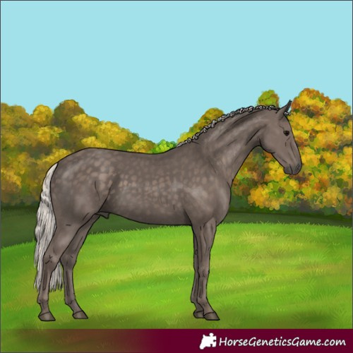 Horse Color:Silver Black 