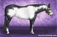 Horse Color:Black Frame