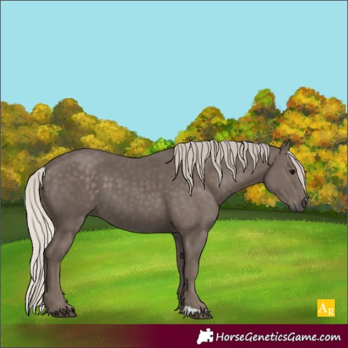 Horse Color:Silver Black 