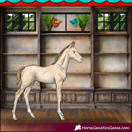 Horse Color:Buckskin Pearl 
