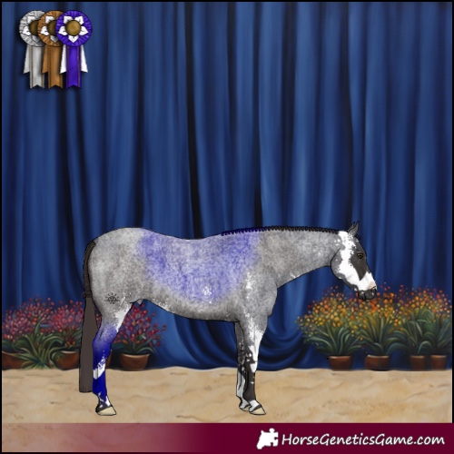 Horse Color:Liver Red Roan Sabino 