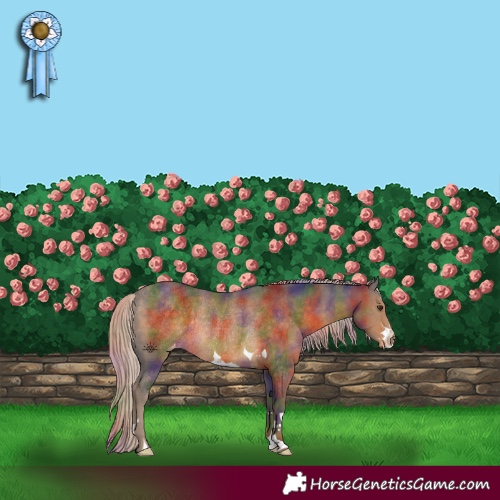 Horse Color:Nacre Chocolate Palomino Appaloosa Rabicano 