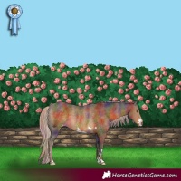 Horse Color:Nacre Chocolate Palomino Varnish Rabicano 