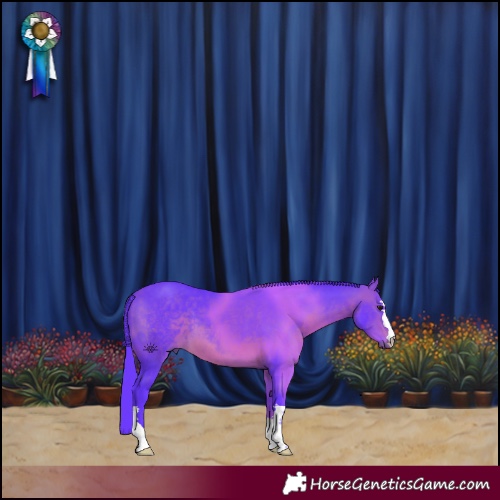 Horse Color:Watercolor Brown 