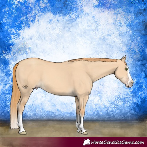 Horse Color:White Spotted Gold Champagne Dun Splash