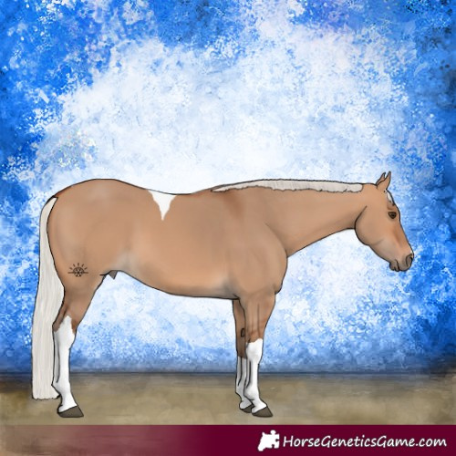 Horse Color:Silver Bay Dun Tobiano