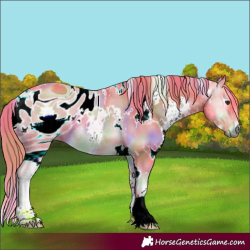 Horse Color:ERROR: UNKNOWN ANOMALY