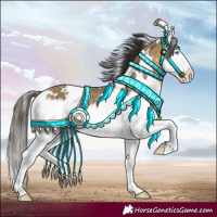Horse Color:White Spotted Buckskin Dun Splash Rabicano