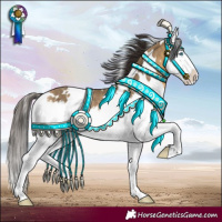 Horse Color:White Spotted Buckskin Dun Splash Rabicano