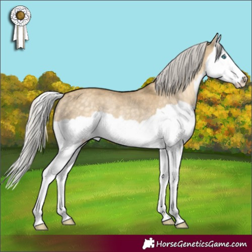 Horse Color:Silver Classic Cream Champagne Dun Splash Rabicano 
