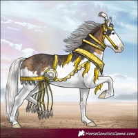 Horse Color:Silver Buckskin Splash Rabicano 