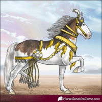 Horse Color:Silver Buckskin Splash Rabicano